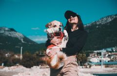 ways-to-celebrate-national-pet-day-in-2022