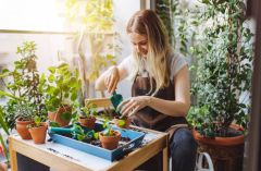 5-coolest-and-most-unique-planters-you-can-buy-online-right-now